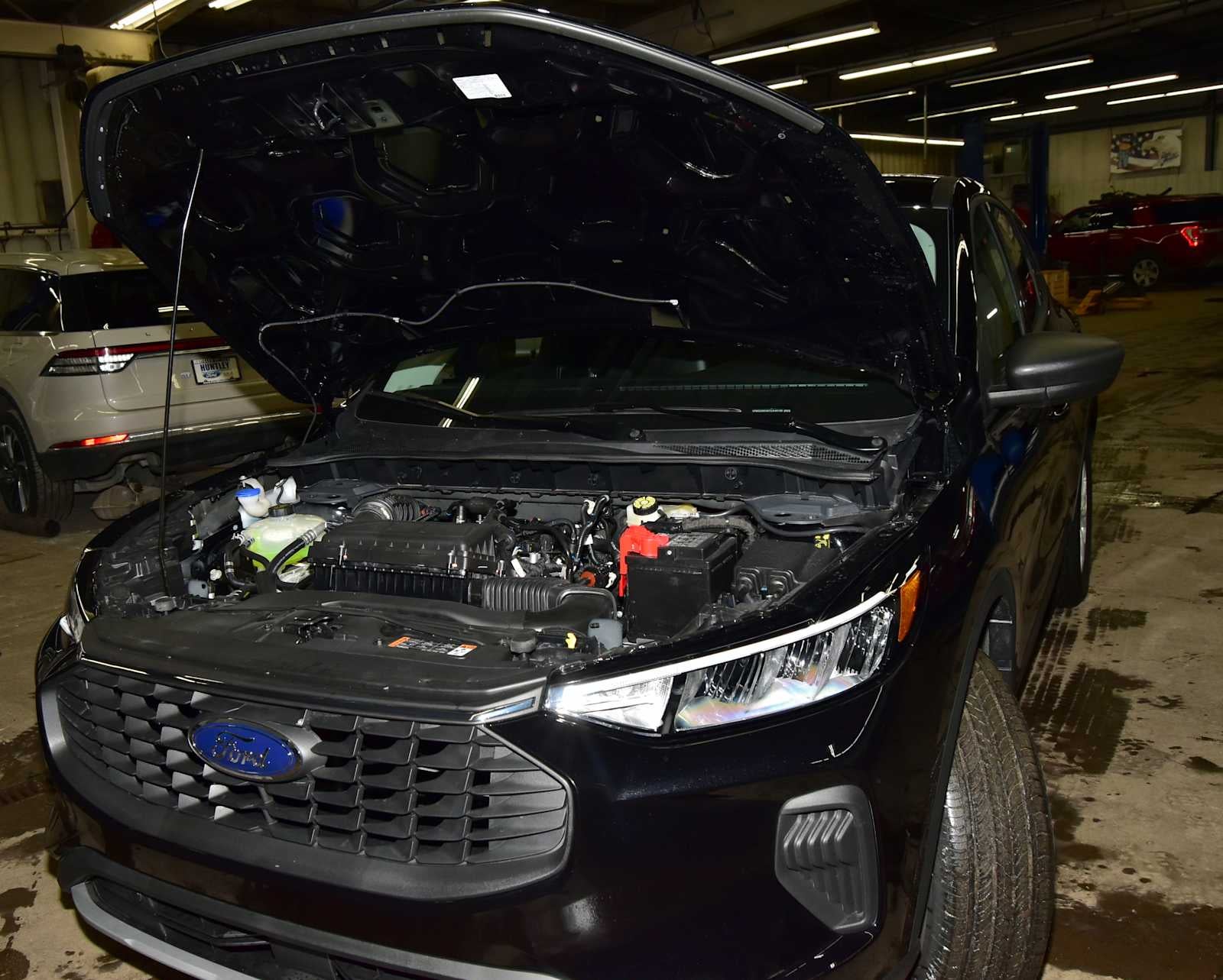 2026 Ford Escape Active