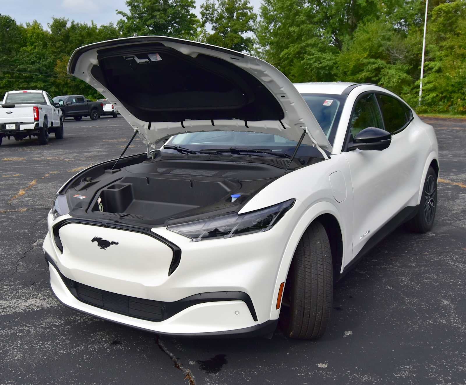 2026 Ford Mustang Mach-E Premium - Photo 16